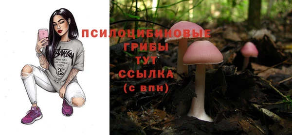 прущая мука Армянск