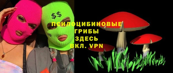 прущая мука Армянск